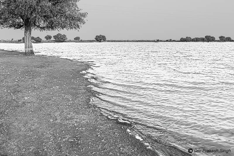 Viprasar pond – the primary drinking water source for the village community at Netsi village in Thar Desert, Jaisalmer District, Rajasthan, India